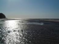 Resize of DSCF2541.JPG